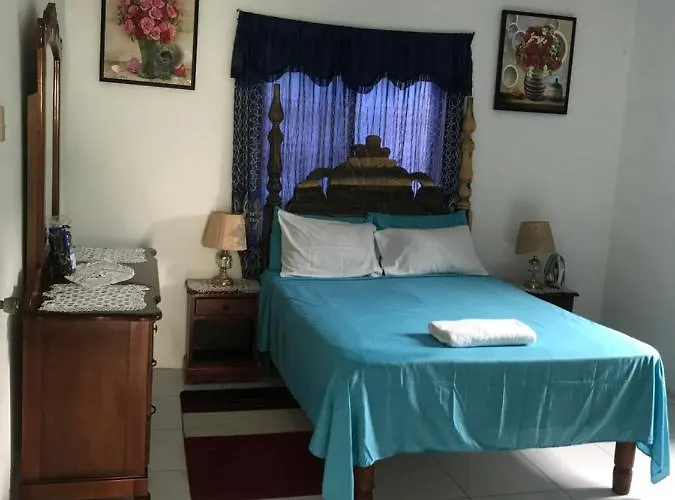 June's Comfort Paradise Apartment
